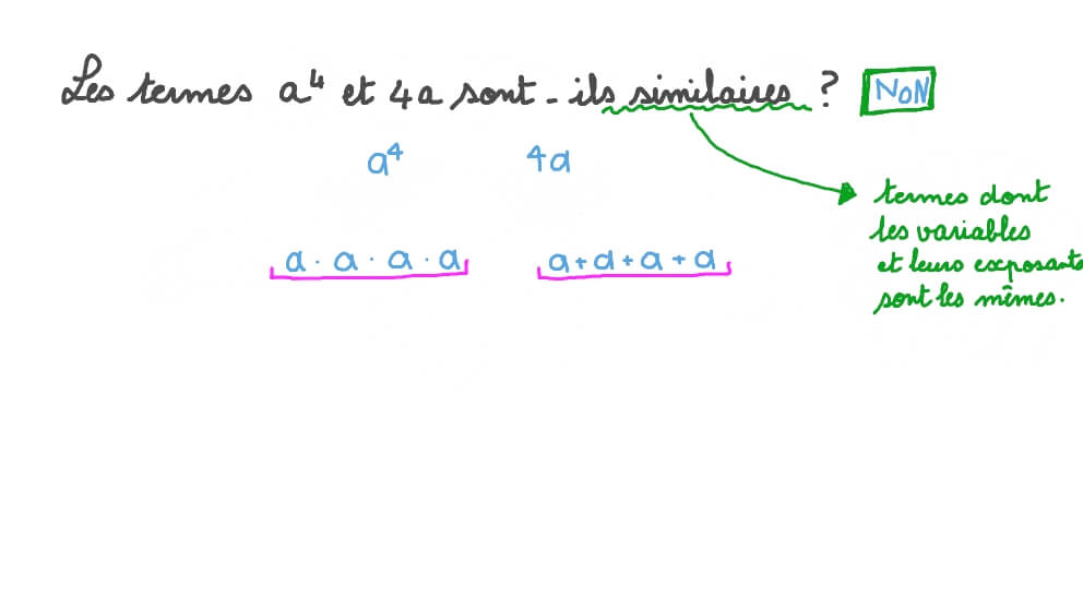 Identifier des termes similaires