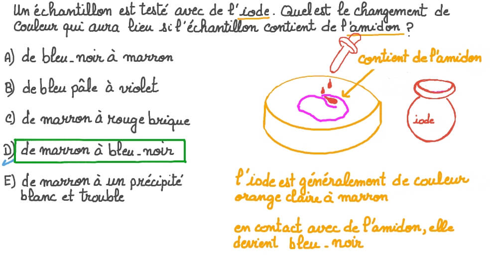 Rappel du résultat d’un test alimentaire positif à l’amidon