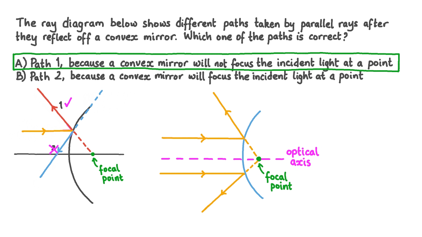 Identifying the Path of a Light Ray Reflected from a Convex Mirror