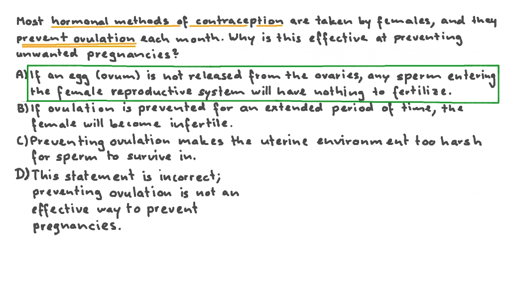 Outlining Why Preventing Ovulation Helps Prevent Pregnancies