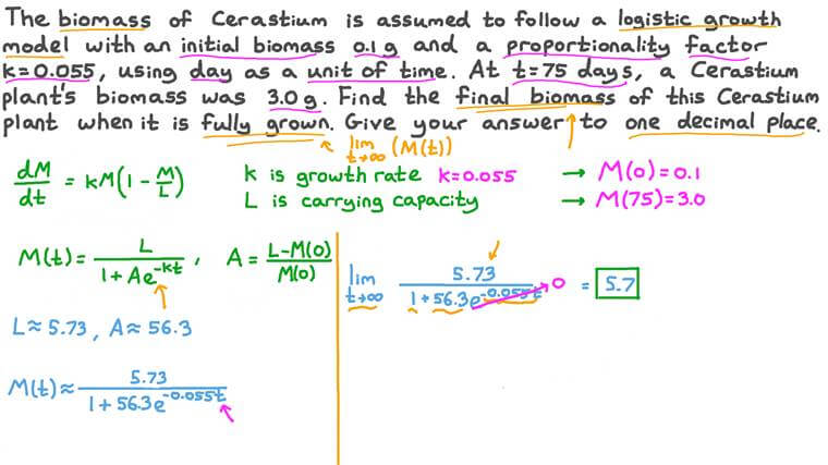 Lesson: The Logistic Model | Nagwa