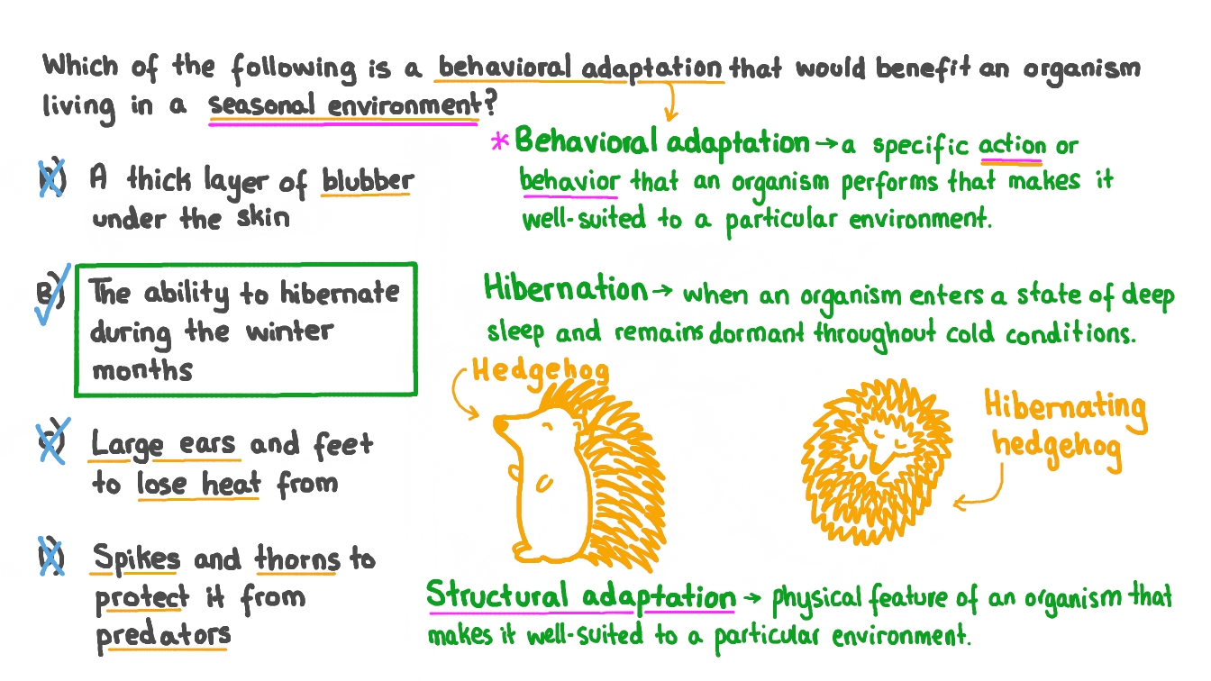 Question Video Identifying Behavioral Adaptations Related To Seasonal 