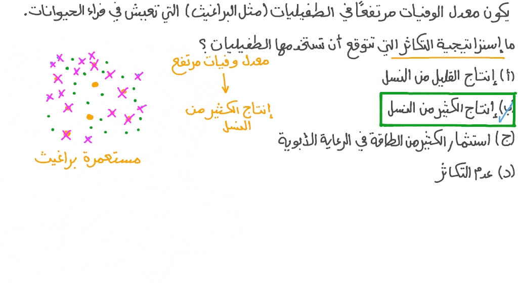مقارنة معدل وفيات نوع ما بالنسبة إلى إستراتيجيات تكاثره