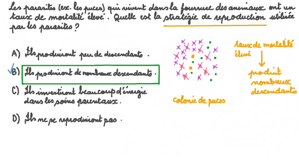 Comparer le taux de mortalité d’une espèce selon la stratégie de reproduction utilisée