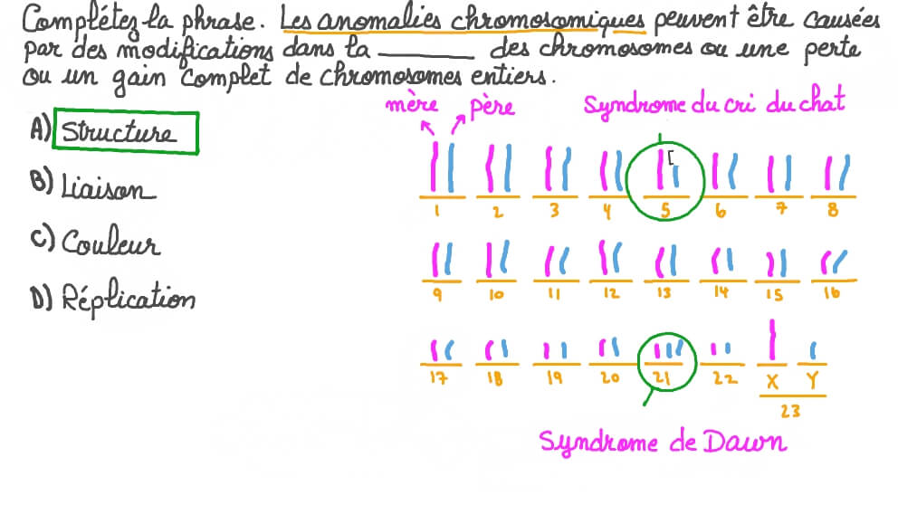 Définir la cause d’une anomalie chromosomique