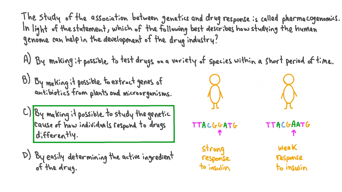 Describing How Studying the Human Genome Can Help in Drug Development