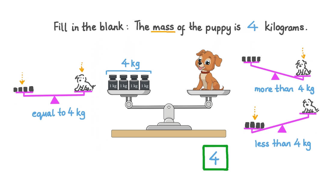 Using Scales to Measure Mass in Kilograms