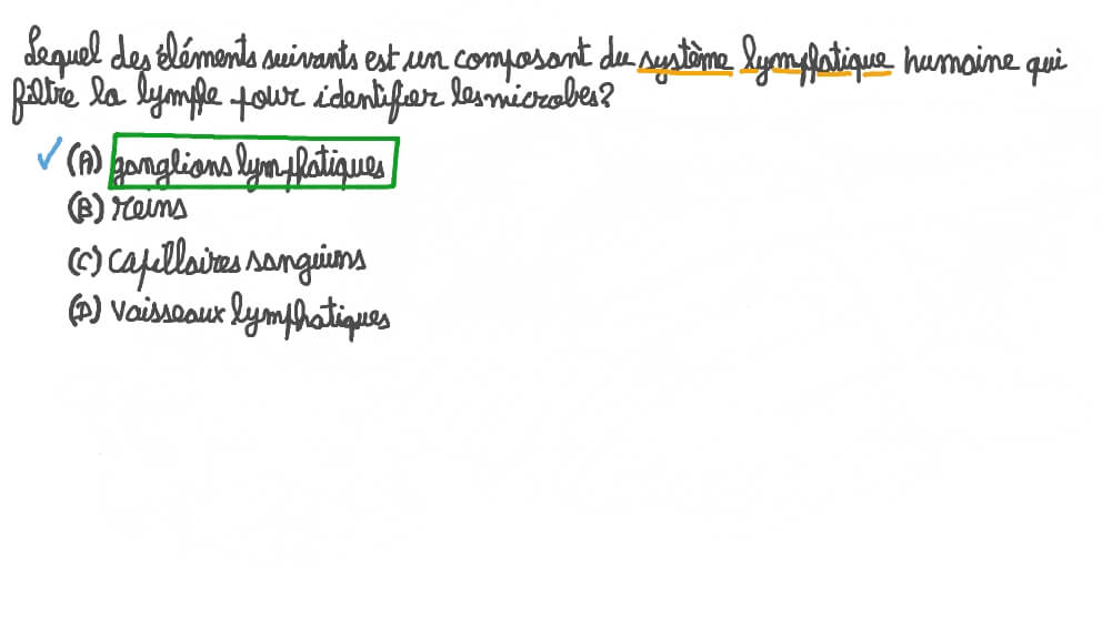 Identifier le composant du système lymphatique qui filtre la lymphe pour identifier les microbes