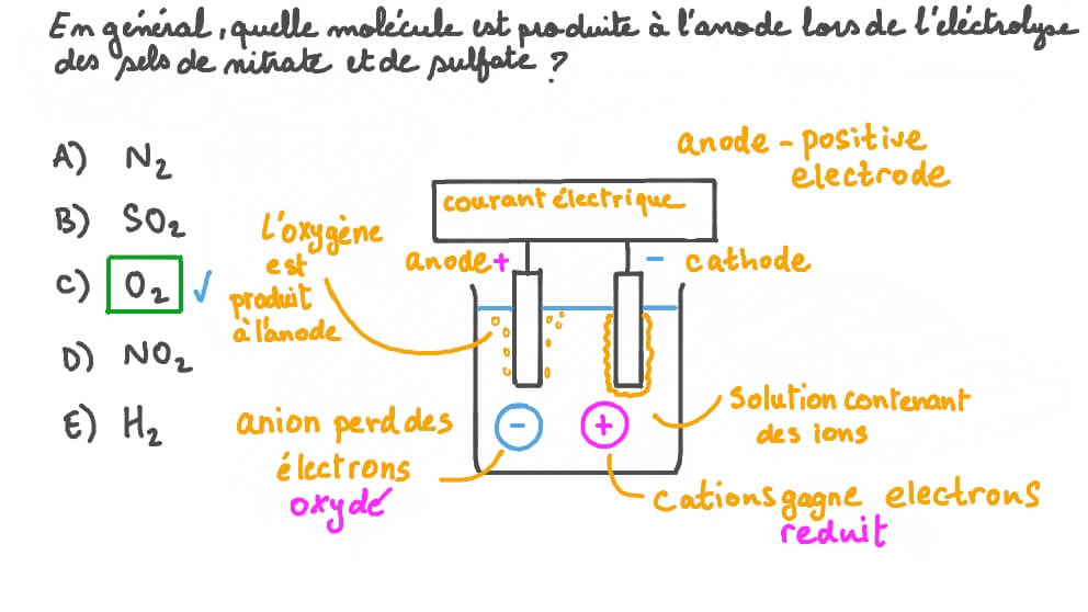 Identifier le produit formé à l’anode lors de l’électrolyse des sels de nitrate et de sulfate