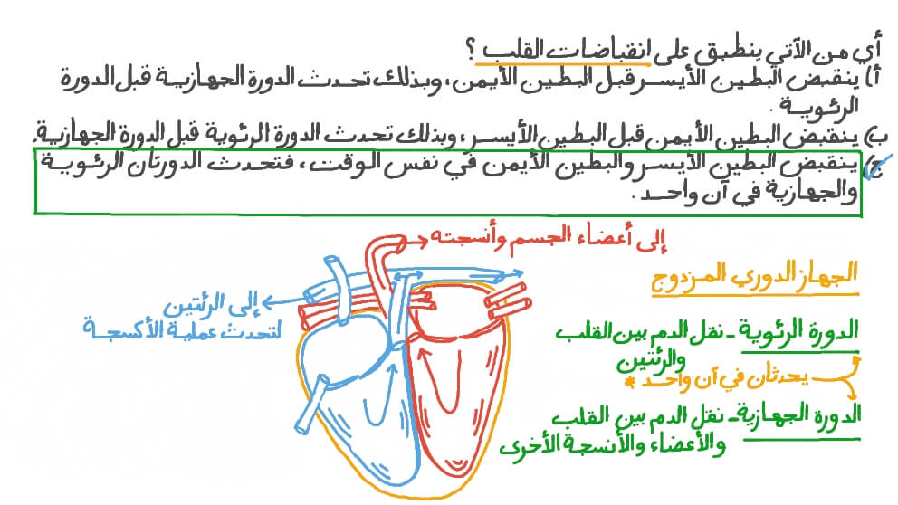 تذكر أن بطيني القلب ينقبضان في الوقت نفسه