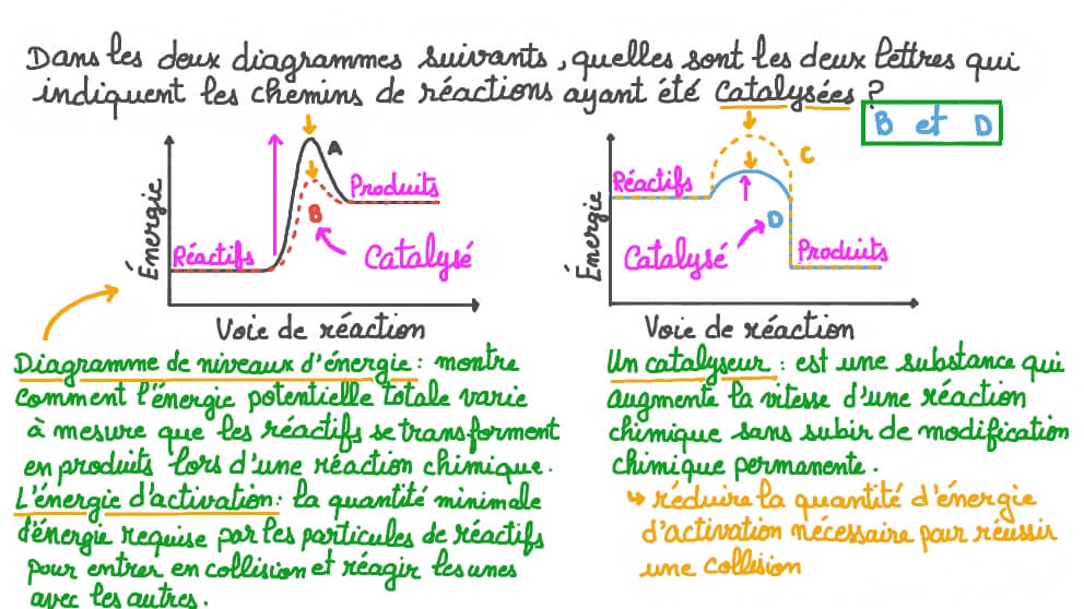 Interpréter les profils réactionnels avec et sans catalyseur