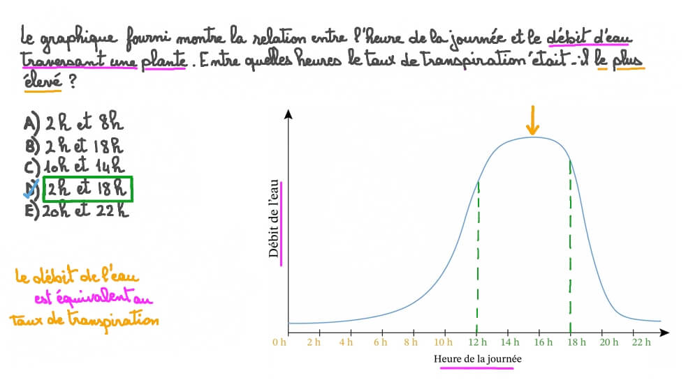 Décrire le taux de transpiration chez les Plantes