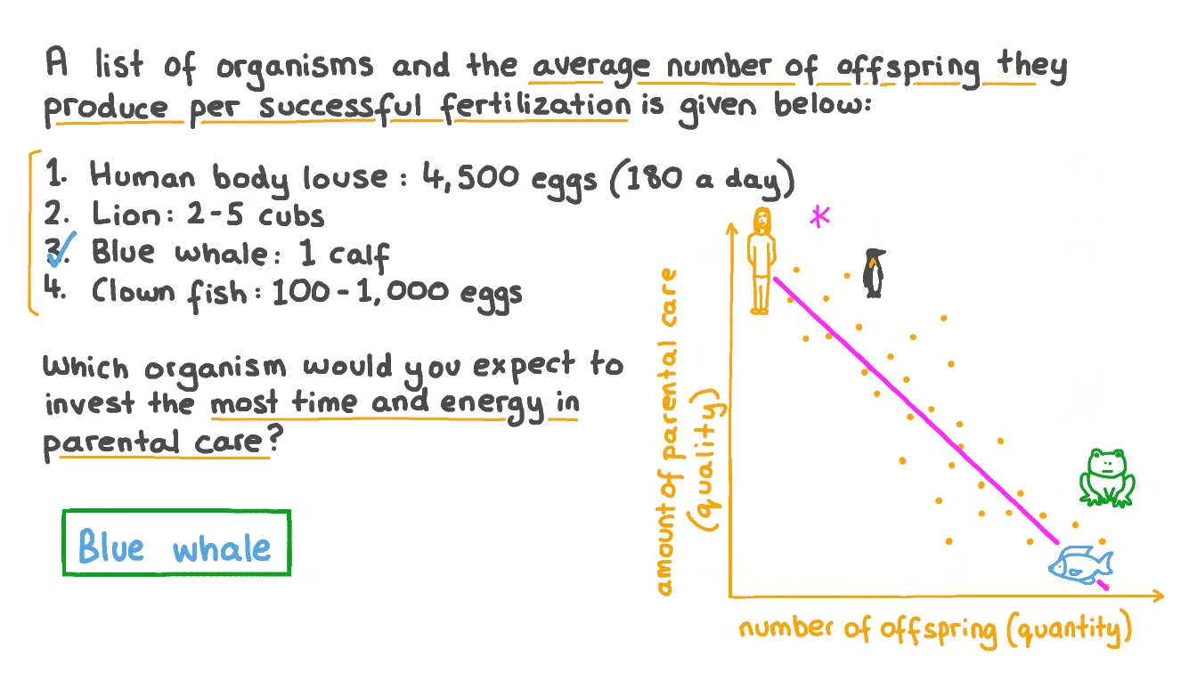 Relating Number of Organisms Produced to Levels of Parental Care
