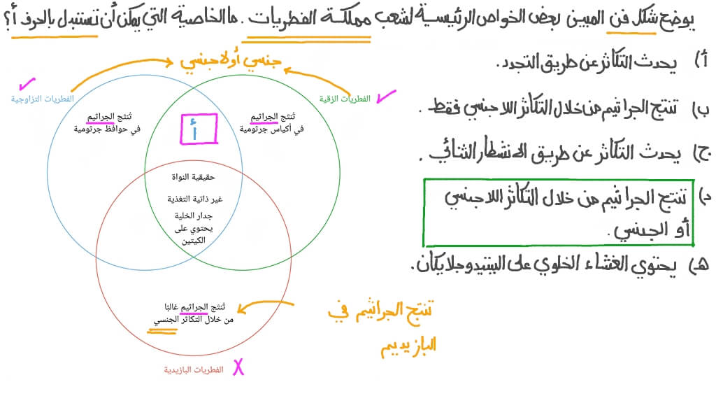 تحديد خاصية مشتركة بين الفطريات التزاوجية والفطريات الزقية