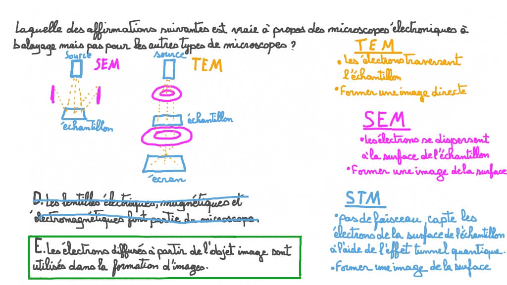 Comparer différents types de microscopes
