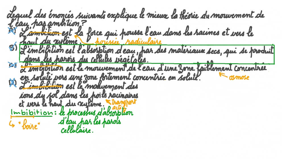 Décrire la théorie du mouvement de l’eau par imbibition