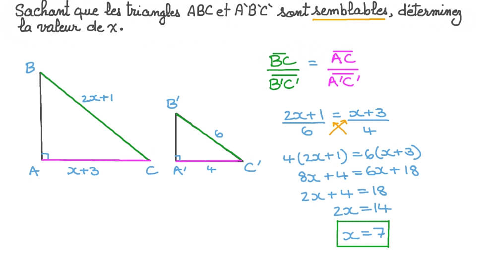 Utiliser les propriétés des triangles semblables pour résoudre des problèmes algébriques