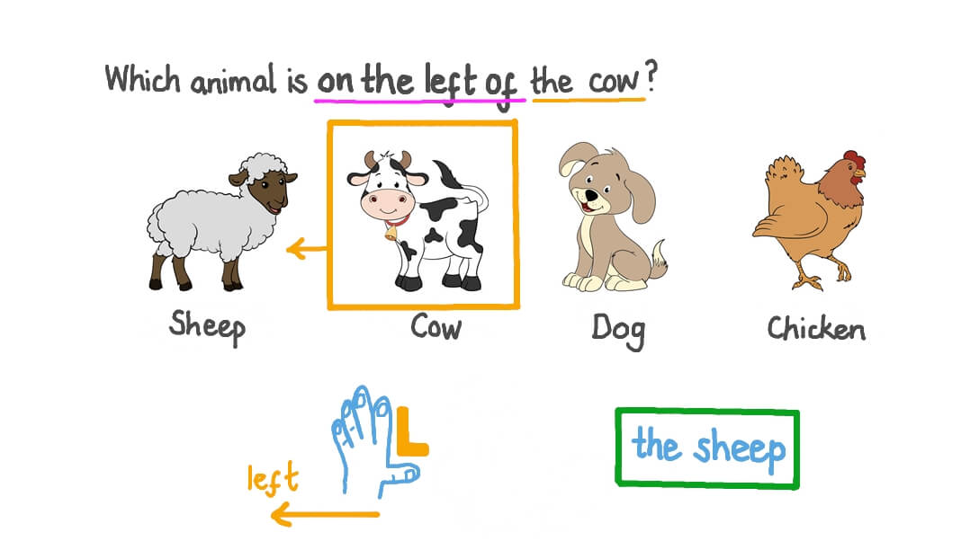 Describing the Position of Objects in an Line