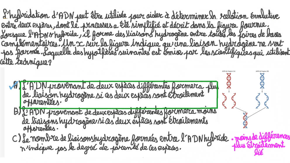 Utiliser l’hybridation de l’ADN pour mesurer les relations évolutives