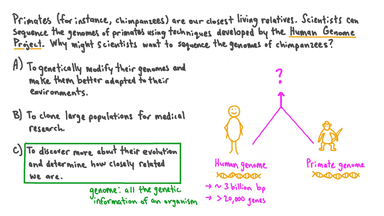 Discussing the Applications of the Human Genome Project for Evolutionary Biology