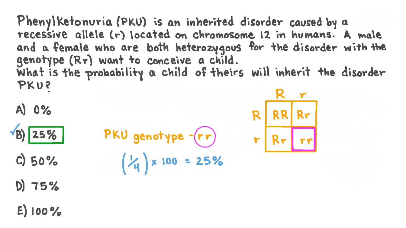 PKU Punnett Square