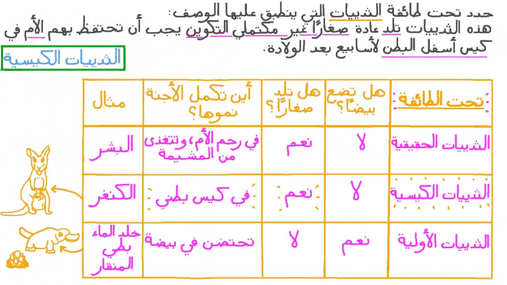 التعرف على الخواص المميزة لتحت الطوائف المتفرعة من طائفة الثدييات