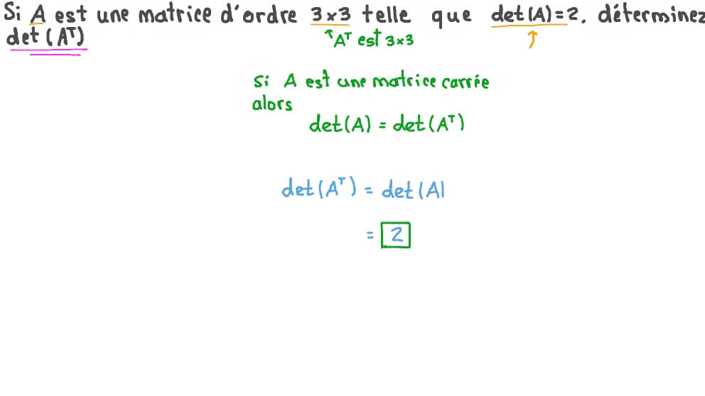 Évaluation du déterminant de la transposée d’une matrice