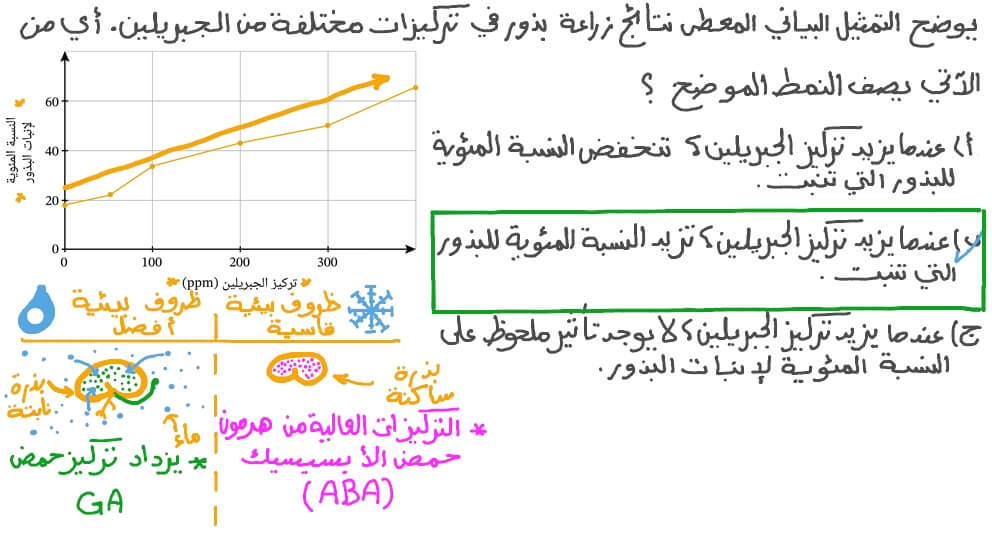 وصف تمثيل بياني لتأثير تركيز الجبريلين على الإنبات