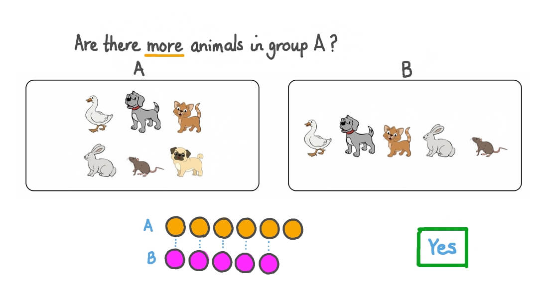 Counting the Number of Objects in Each of Two Categories
