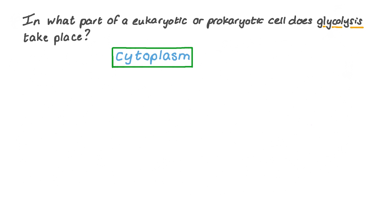 Question video recalling the cellular structure in which glycolysis