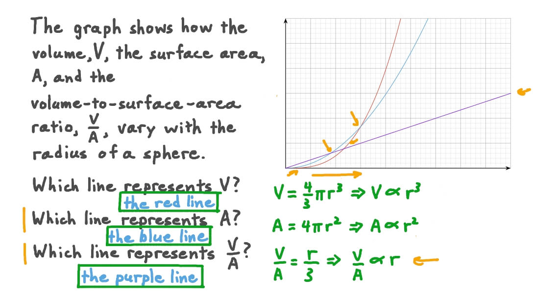 Understanding the Graphical Representation of the Volume and Area of a Sphere