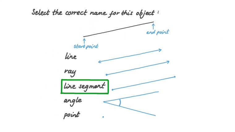 Lesson: Straight Lines, Line Segments, and Rays | Nagwa