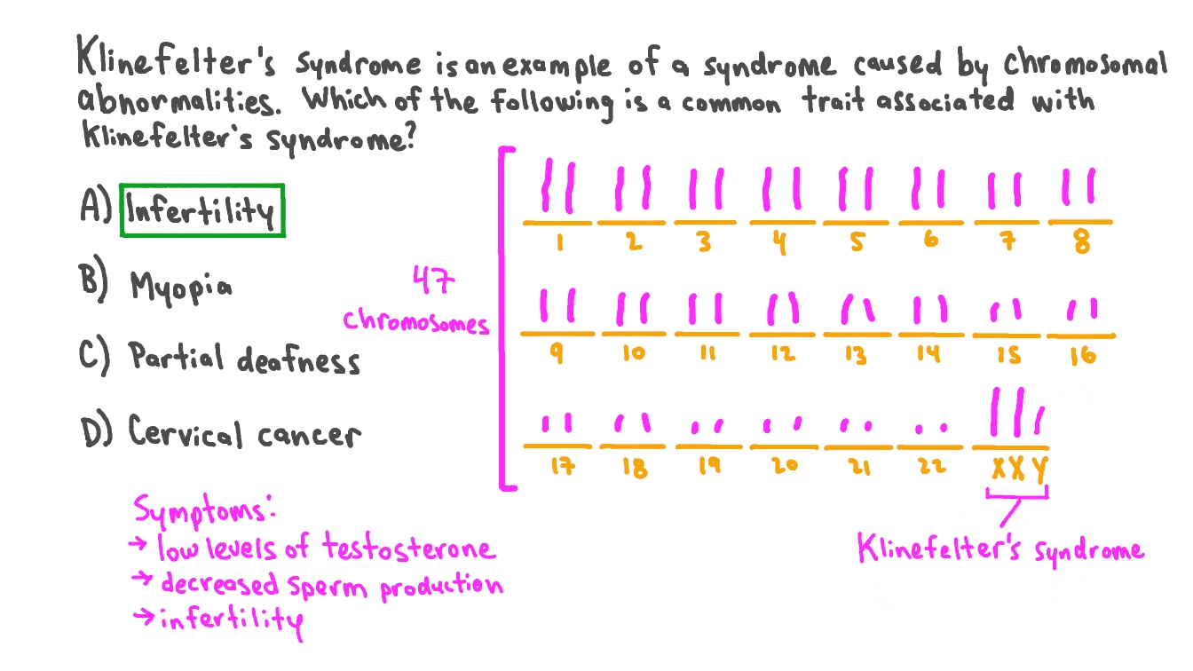 Question Video Identifying the Traits Associated with Klinefelter’s