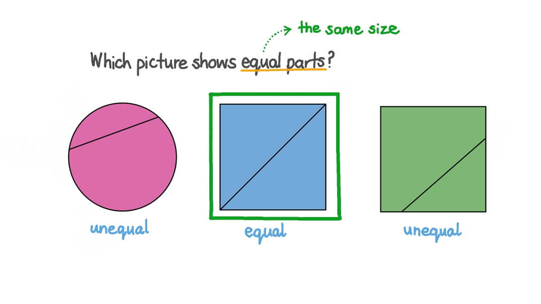 Question Video Recognising Equal Parts In Circles And Rectangles Nagwa