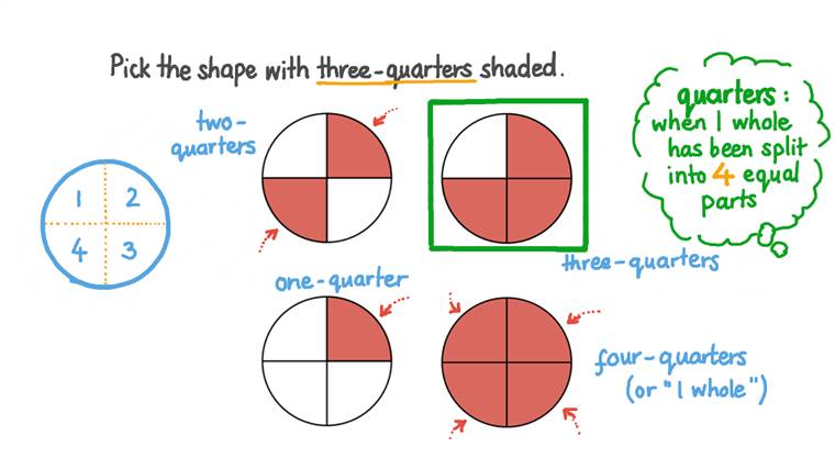 Lesson Nonunit Fractions For Halves Thirds And Quarters Nagwa