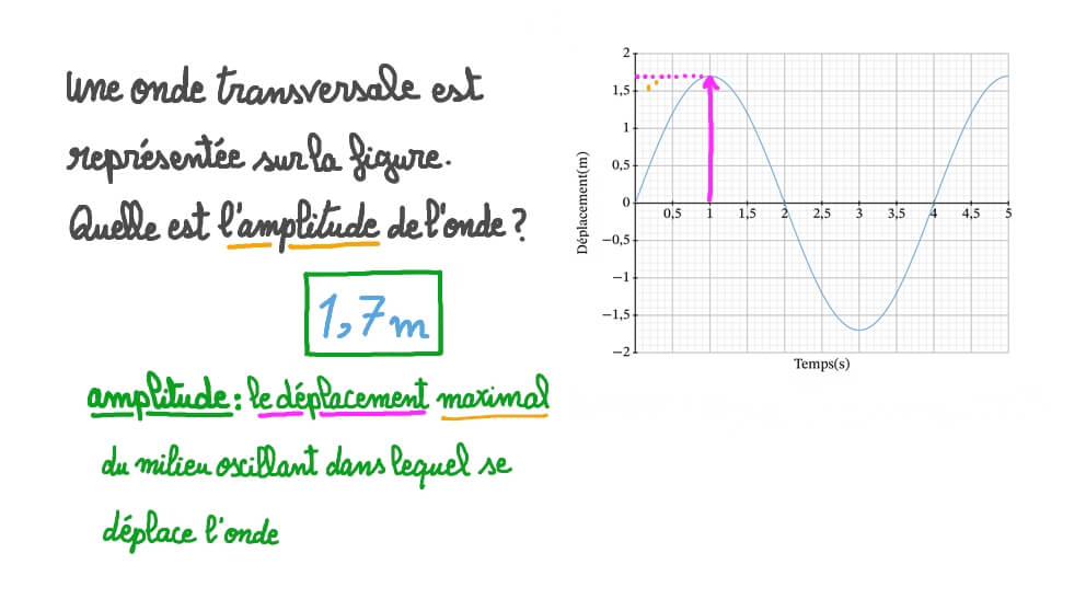 Comprendre les ondes transversales et longitudinales