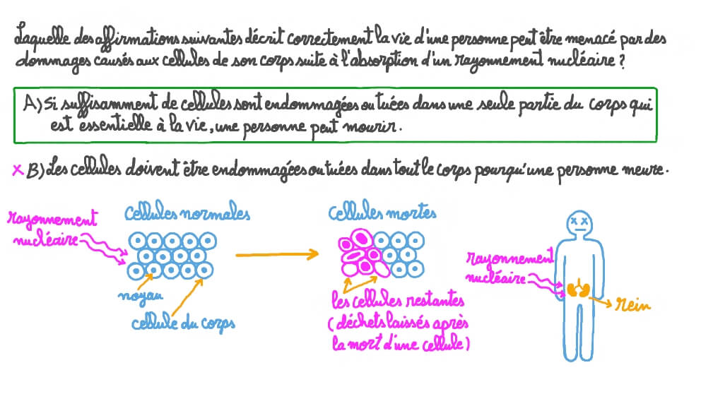 Comprendre pourquoi l’absorption d’un rayonnement nucléaire peut être dangereux pour la santé