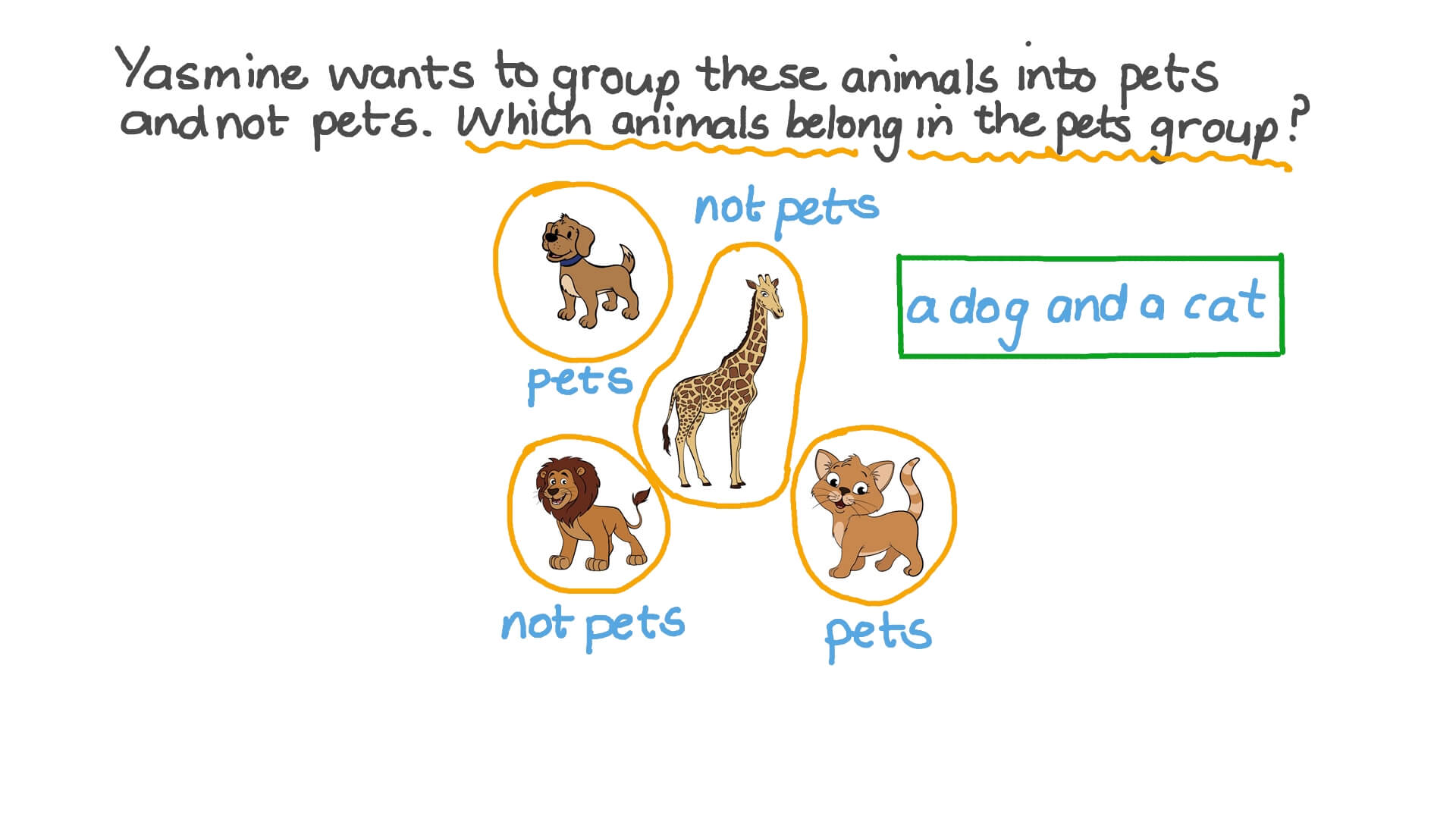 Sorting Objects with Specific Attributions