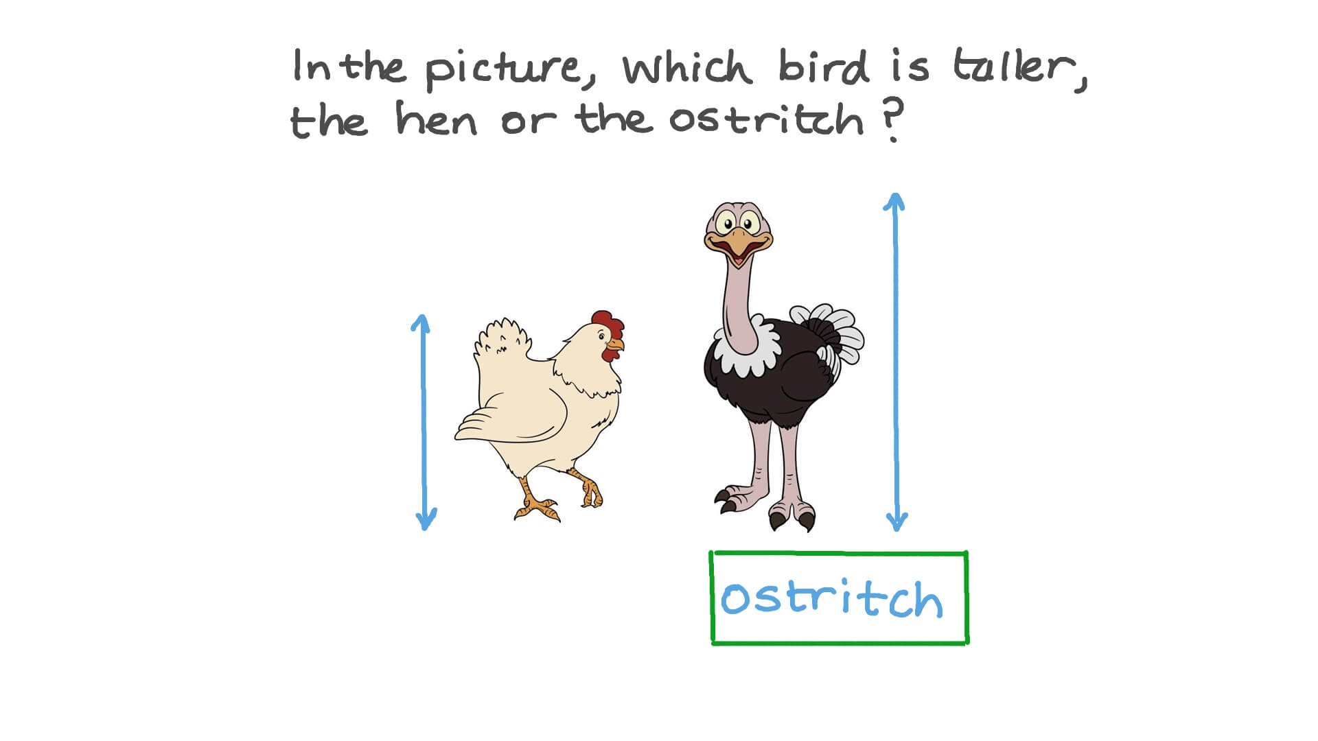 Identifying the Greatest Item in Height