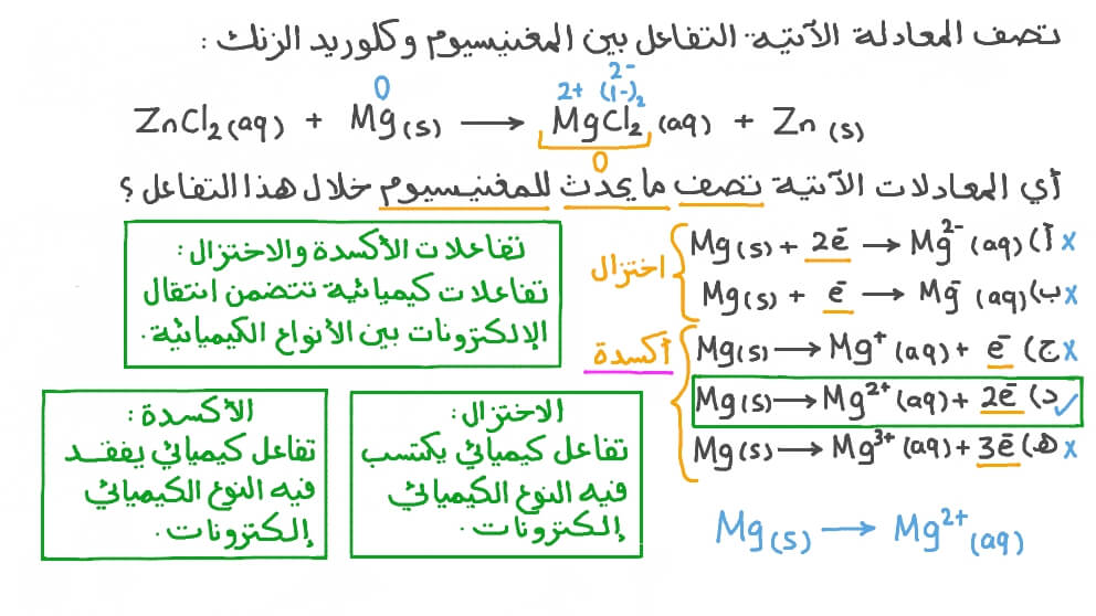 تحديد المعادلة التي تصف ما يحدث للمغنيسيوم عند تفاعله مع كلوريد الزنك