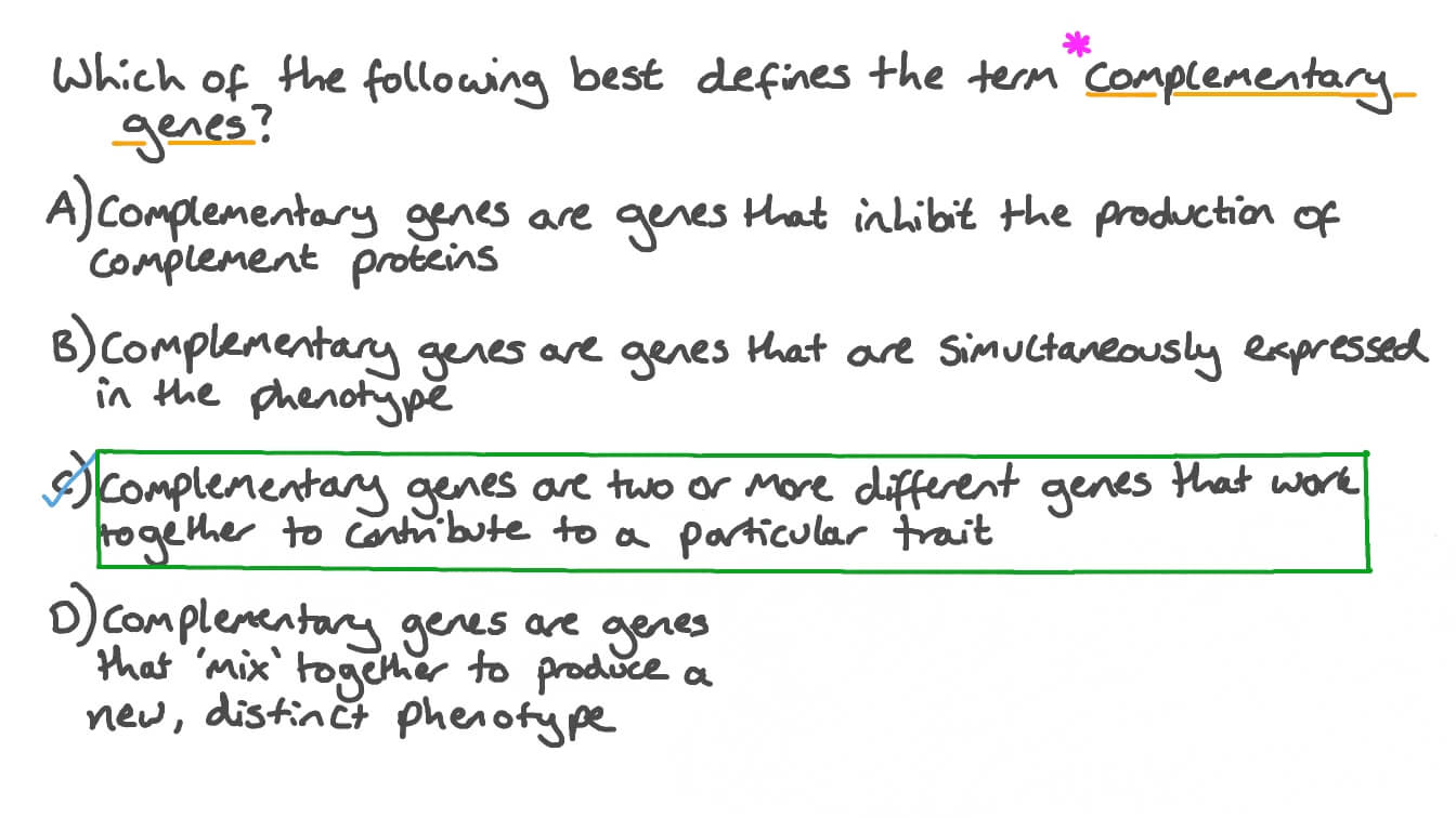 Defining the Term “Complementary Genes”