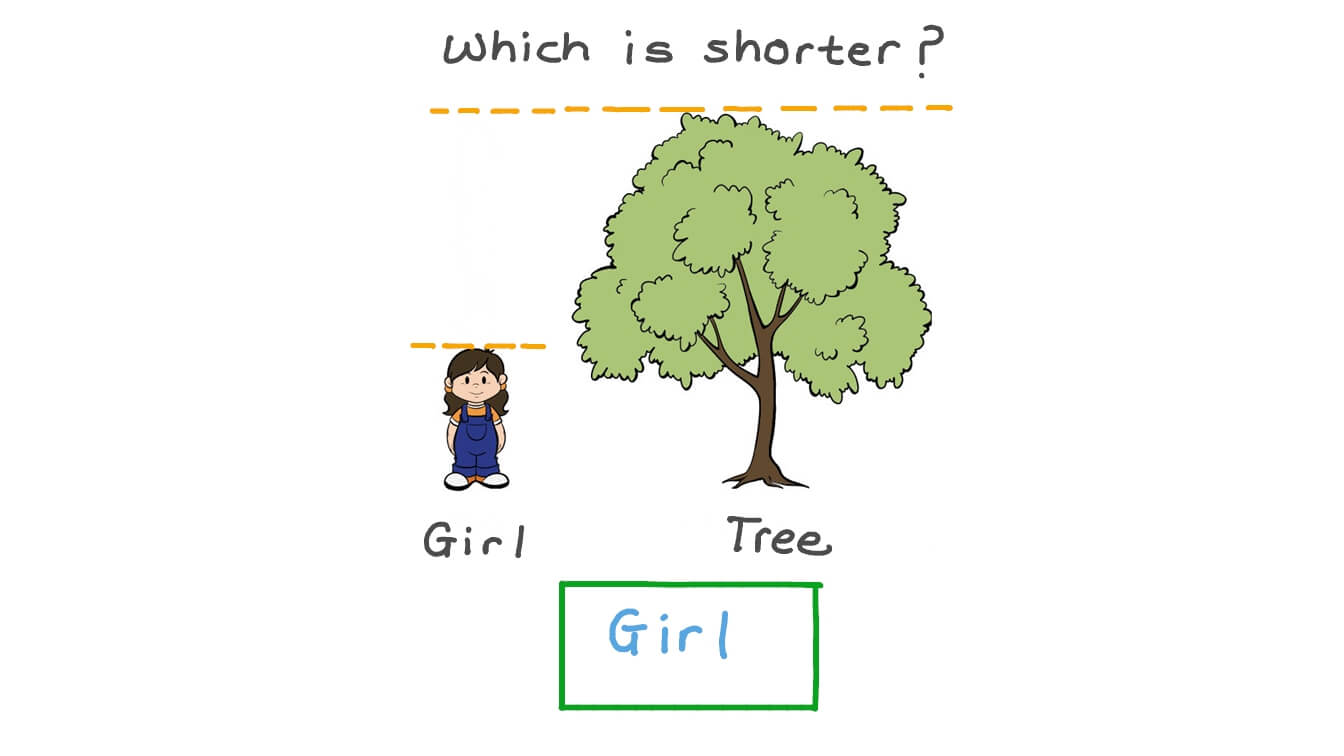 Identifying Which Object Is the Tallest or Shortest