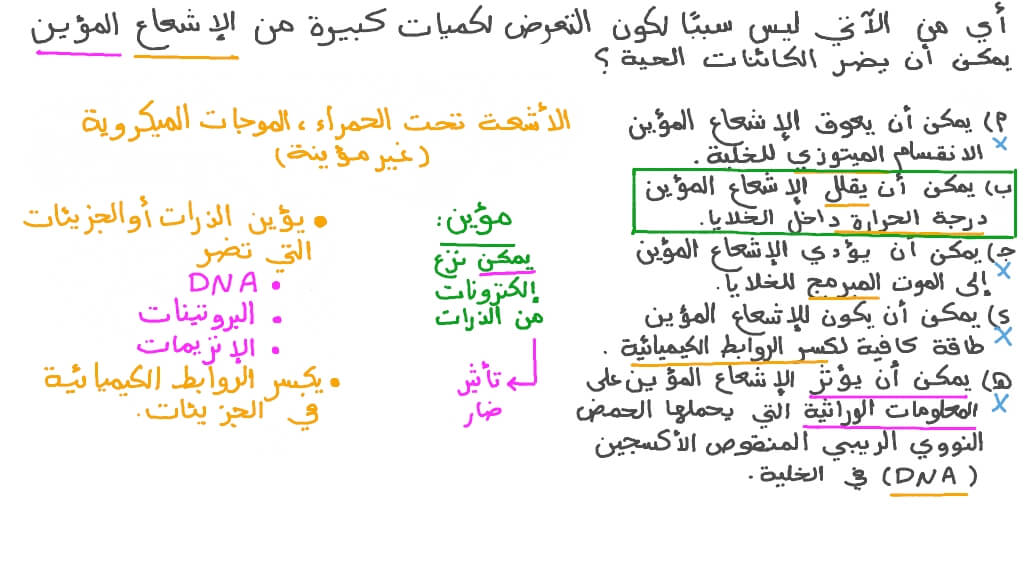 التعرف على الآثار الضارة للإشعاع المؤين على الكائنات الحية