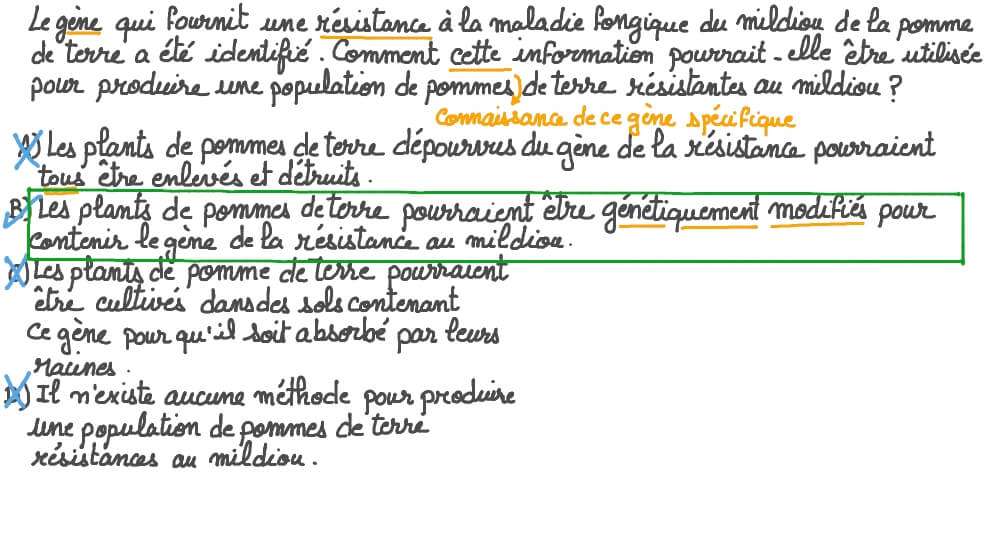 Expliquer comment le génie génétique peut être utilisé pour produire des populations de plantes résistantes aux maladies