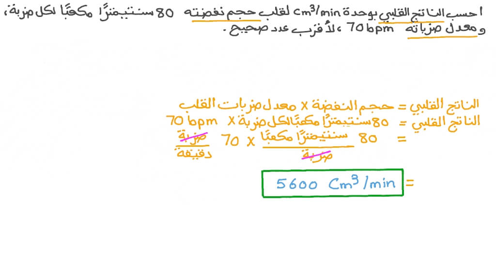 حساب الناتج القلبي من حجم النفضة ومعدل ضربات القلب