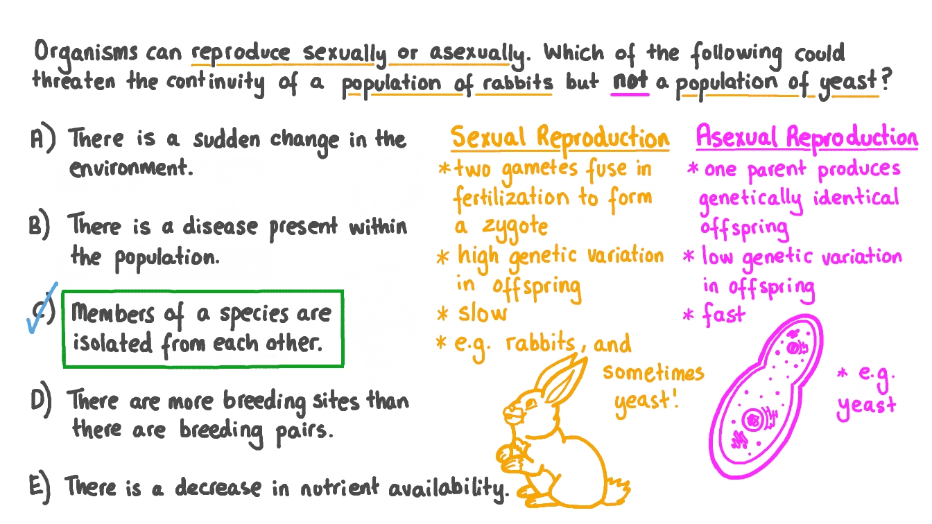 Question Video Contrasting Reproduction of Rabbits and Yeast Nagwa