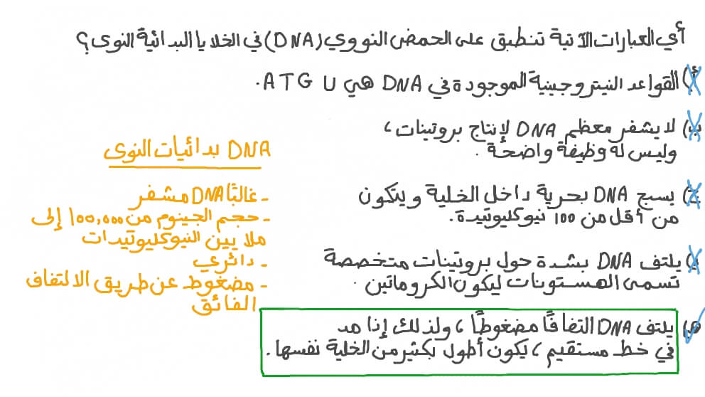 تحديد خواص الحمض النووي &#x202A;(DNA)&#x202C;&#x200F; في بدائيات النوى