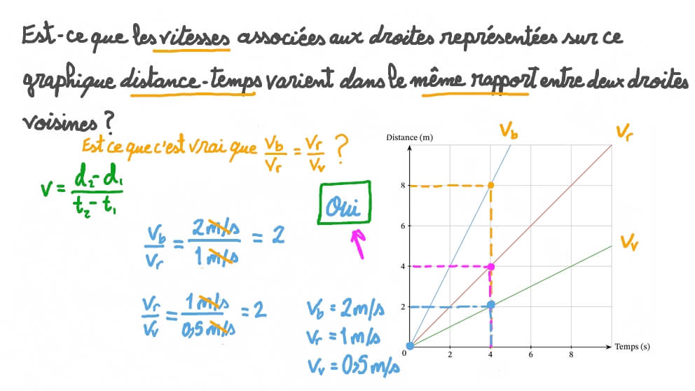 Comparer les vitesses à partir d’un graphique distance-temps