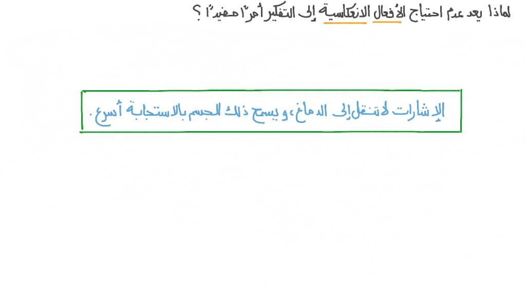 شرح فائدة الأفعال الانعكاسية