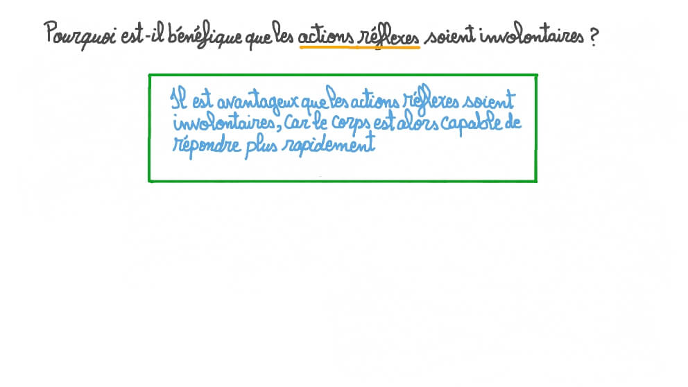 Expliquer le bénéfice des actions réflexes